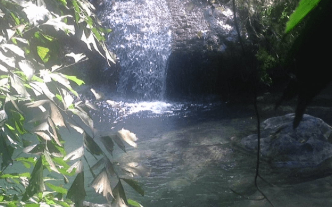 blog_5-Elemente-TCM-Wasser