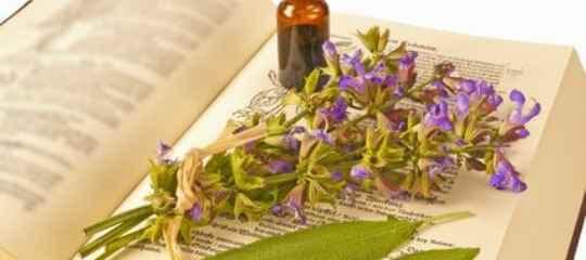 Fortbildungen Lehrbuch Kräutertherapie für eine Heilpraktiker Fortbildung