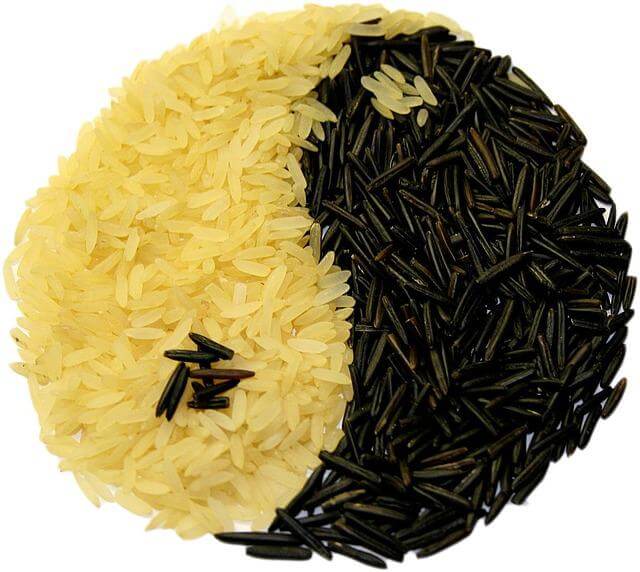 Yin Yang Symbol aus Reis Die 5 Elemente Ernährung verwendet viel Reis, der das Yin Yang Symbol formt.